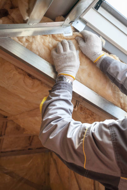 Best Insulation Maintenance and Repair in Westvle, IL