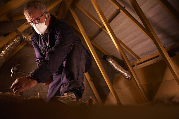 Best Specialized Insulation Services in Westvle, IL