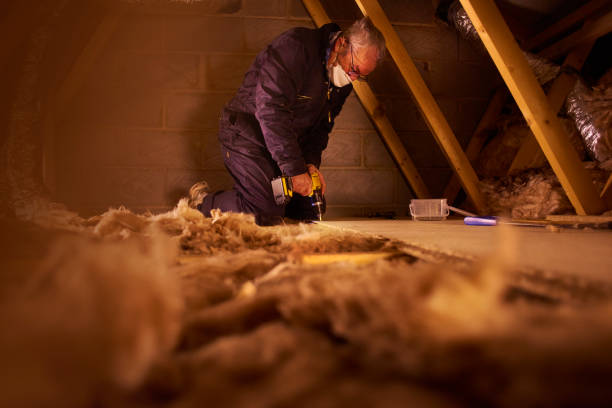 Best Geographic-Specific Insulation Services in Westvle, IL